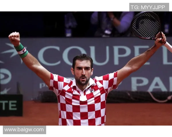 2020年法国与克罗地亚决赛直播回顾精彩瞬间与赛后分析